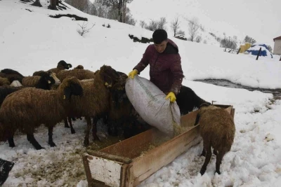 Bitlis&rsquo;te kış mevsiminin uzaması k&uuml;&ccedil;&uuml;kbaş hayvancılığı vurdu
