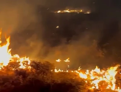 Bitlis’te örtü yangını

