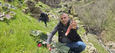 Bitlisliler &rsquo;yayla muzu&rsquo; i&ccedil;in dağlara akın etti
