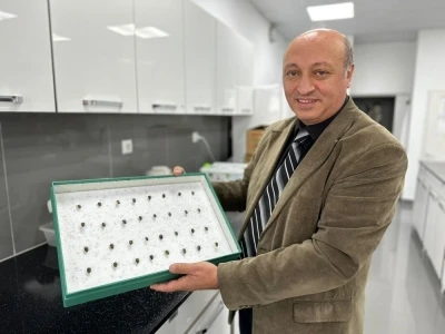 B&ouml;cekler cinayetleri aydınlatıyor: &Ouml;l&uuml;m zamanı ve olay yeri entomolojiyle belirlenebiliyor
