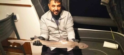 Bodrum a&ccedil;ıklarında oltaya k&ouml;pek balığı takıldı
