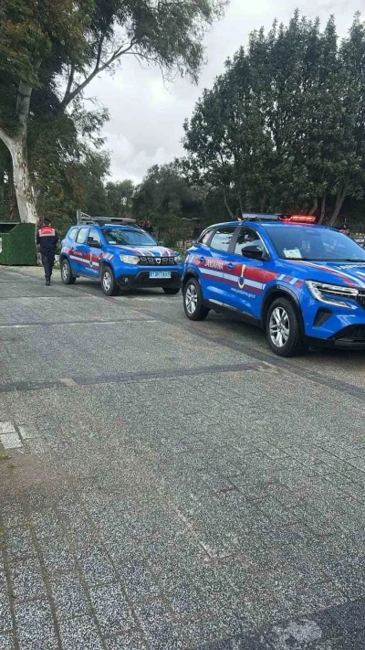 Bodrum&rsquo;da iki k&ouml;peğin silahla vurulduğu iddiası

