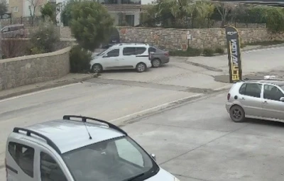 Bodrum&rsquo;da kazaya karışan s&uuml;r&uuml;c&uuml;n&uuml;n ehliyetine el konuldu
