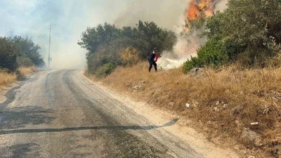 Bodrum’da makilik alanda yangın paniği: &quot;Havadan ve karadan müdahale sürüyor&quot;
