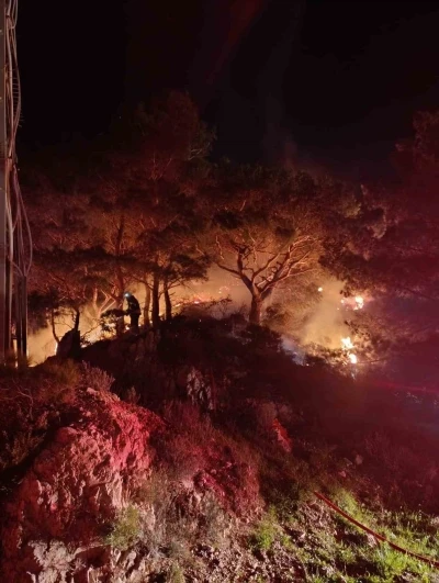 Bodrum&rsquo;da ormanlık alanda yangın: 2 d&ouml;n&uuml;m alan zarar g&ouml;rd&uuml;
