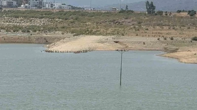 Bodrum’da su alarmı: &quot;Barajlar kritik seviyeye geriledi&quot;
