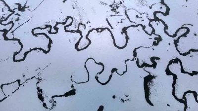 Bolu&rsquo;da 14 k&ouml;y&uuml;n yaylasında mendereslerin g&ouml;r&uuml;nt&uuml;s&uuml; mest etti
