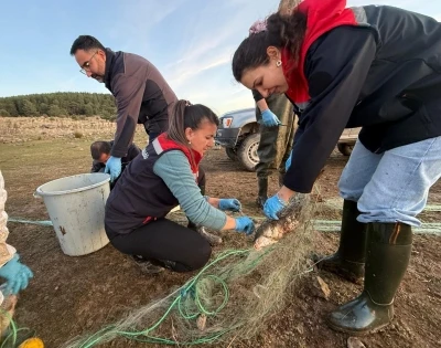 Bolu’da 5 kilometrelik hayalet ağ toplandı: 500 balık canlı kurtarıldı
