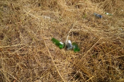 Bolu’da anız yakana cezalar arttı: &quot;Yanan alanlar parayla ölçülmez&quot;
