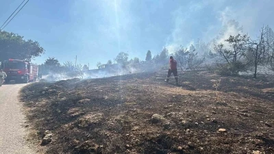 Bolu’da çalılık arazide çıkan yangın evlere sıçramadan söndürüldü
