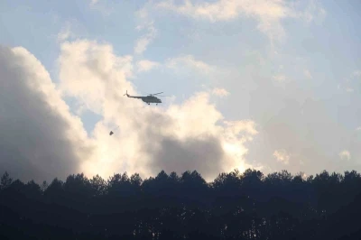 Bolu’da çıkan orman yangını kontrol altına alındı
