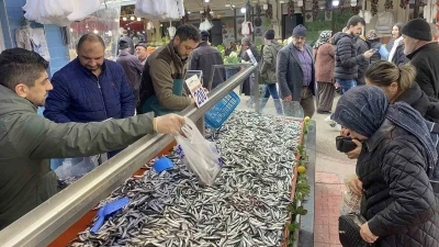 Bolu&rsquo;da hamsi bolluğu s&uuml;r&uuml;yor: Kilosu 200 liradan rağbet g&ouml;rd&uuml;
