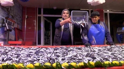 Bolu’da hamsinin kilosu 150 liraya düştü
