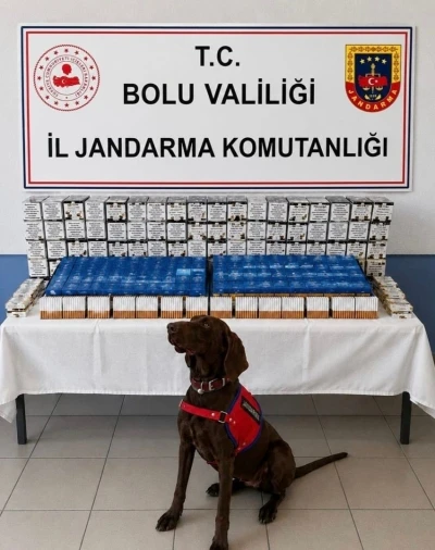 Bolu&rsquo;da ka&ccedil;ak&ccedil;ılık operasyonu: 2 g&ouml;zaltı
