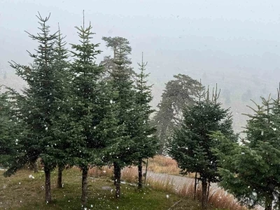 Bolu’da mevsimin ilk karı yağdı
