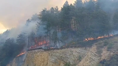 Bolu’da orman yangını başladı: Havadan ve karadan müdahale sürüyor
