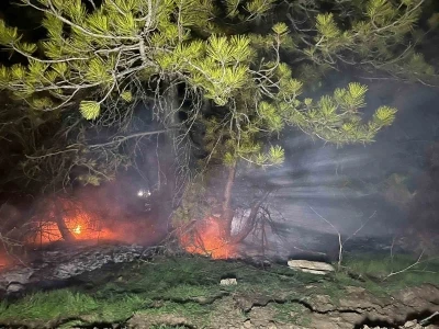 Bolu’da ormanlık alanda yangın çıktı
