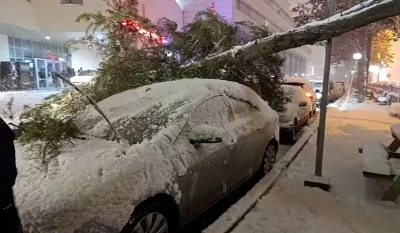 Bolu&rsquo;da park halindeki ara&ccedil;ların &uuml;zerine ağa&ccedil; devrildi
