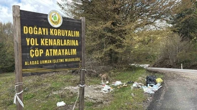 Bolu&rsquo;da pes dedirten g&ouml;r&uuml;nt&uuml;: &lsquo;&Ccedil;&ouml;p atmayın&rsquo; tabelasının altını &ccedil;&ouml;ple doldurdular
