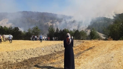 Bolu’daki orman yangını 5.saatinde
