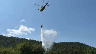 Bolu’daki orman yangını kısa sürede kontrol altına alındı

