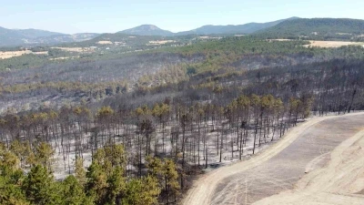 Bolu’daki orman yangını tamamen kontrol altına alındı
