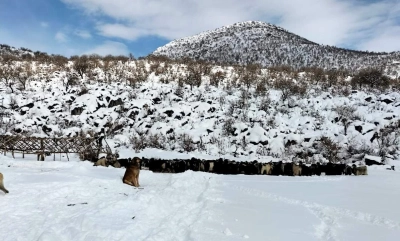 Botan Vadisi Karla Beyaza B&uuml;r&uuml;nd&uuml;