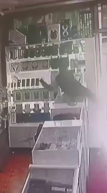 B&ouml;yle hırsızlık g&ouml;r&uuml;lmedi: Masanın &uuml;st&uuml;ne &ccedil;ıkıp vitrindeki telefonları alarak ka&ccedil;tı
