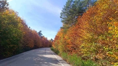 Bozcaarmut’da sonbahar büyüsü
