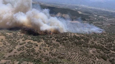 Bozdoğan&rsquo;da ziraat alanında yangın &ccedil;ıktı
