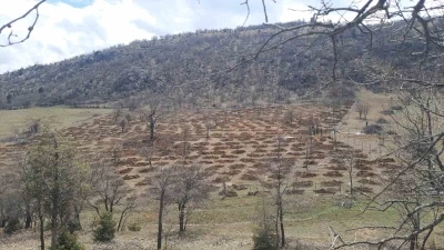 Bozkır&rsquo;da 13 d&ouml;n&uuml;ml&uuml;k alanda dev ağa&ccedil;landırma projesi
