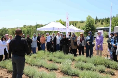 Bozkırların altın &ccedil;i&ccedil;eğinde hasat sevinci
