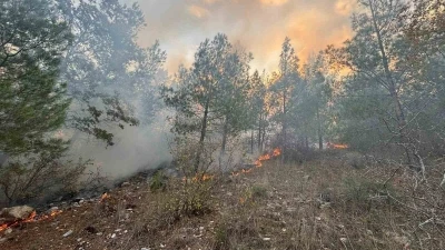 Bozyazı’da orman yangını kontrol altına alındı

