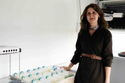 BŞE&Uuml; akademik alanda &ouml;nemli bir başarıya imza attı
