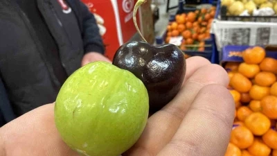 Bu meyveler aşerenler i&ccedil;in Singapur&rsquo;dan geliyor
