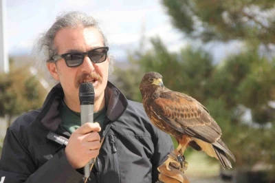 Bu Nevruz diğerlerinden farklı: Kurtlar alanda gezdi, şahin havada u&ccedil;tu
