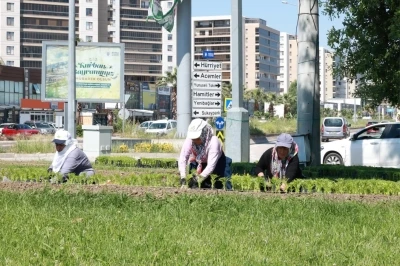 Bu yaz Osmangazi&rsquo;de &ccedil;i&ccedil;ek kokuları eksik olmayacak
