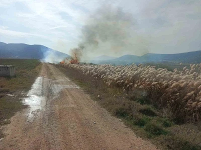 Bucak’ta sazlık alanda yangın
