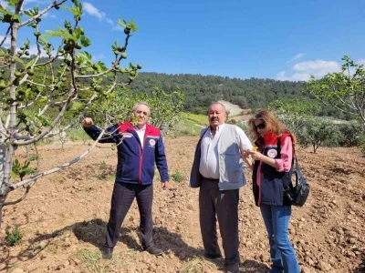 Buharkent&rsquo;te ilek bah&ccedil;eleri kontrol edildi
