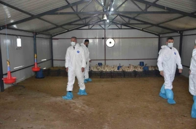 Bulanık’ta &quot;Kaz Yetiştiriciliği&quot; projesi kapanış programı gerçekleştirildi
