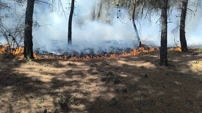 Buldan’da çıkan orman yangını kısa sürede kontrol altına alındı
