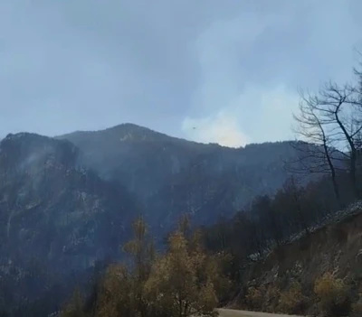 Buldan dağlarının yeşil örtüsü siyaha büründü
