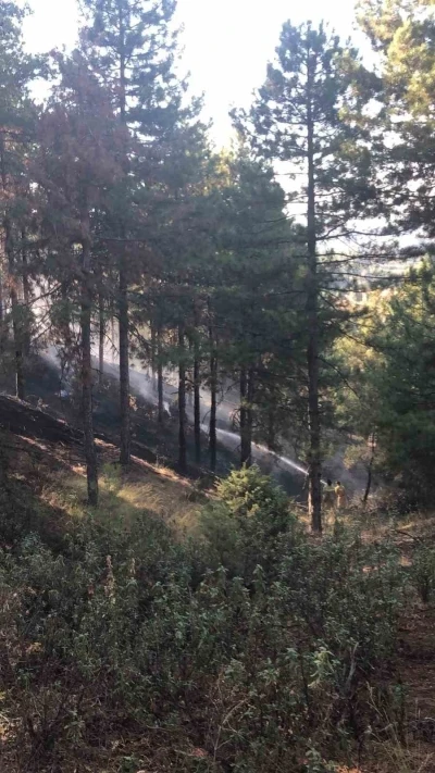 Buldan’daki orman yangını kontrol altına alındı
