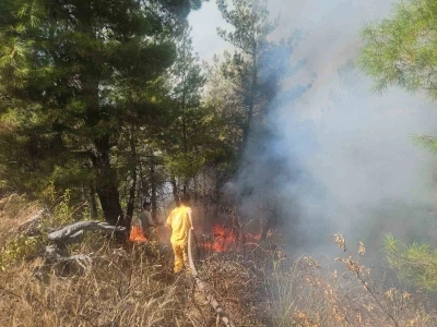 Buldan’daki orman yangınına havadan müdahale başladı

