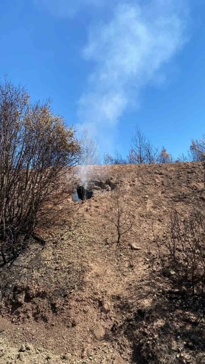 Buldan’daki yangın bölgesinde kökler yanmaya devam ediyor
