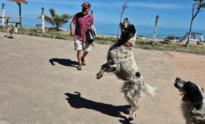 Bunlar da dronsavar k&ouml;pekler
