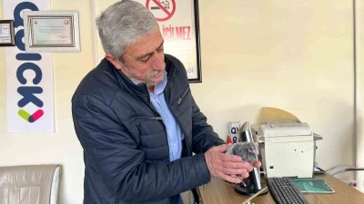 B&uuml;nyan&rsquo;da &ccedil;atıdan d&uuml;şen kuş, yuvasına kavuşturuldu
