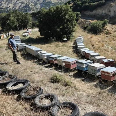 Burdur&rsquo;da arılı kovanlar denetleniyor
