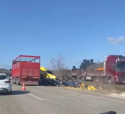 Burdur&rsquo;da limon y&uuml;k&uuml; tır şarampole devrildi
