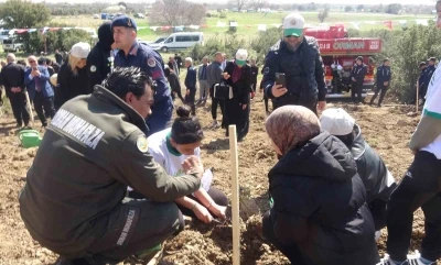 Burdur&rsquo;da zeytin ve fıstık&ccedil;amı fidanları toprakla buluştu
